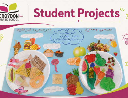Learning Through Projects